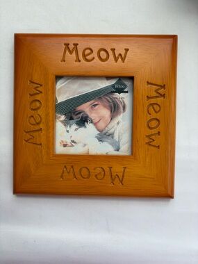Fetco “Meow” frame